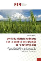 Effet du déficit hydrique sur la qualité des graines et l’anatomie des