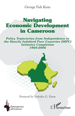 Navigating economic development in Cameroon