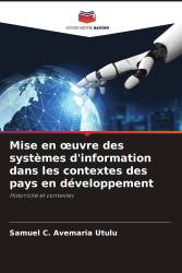 Mise en œuvre des systèmes d'information dans les contextes des pays en développement