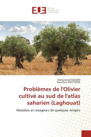 Problèmes de l'Olivier cultivé au sud de l'atlas saharien (Laghouat)