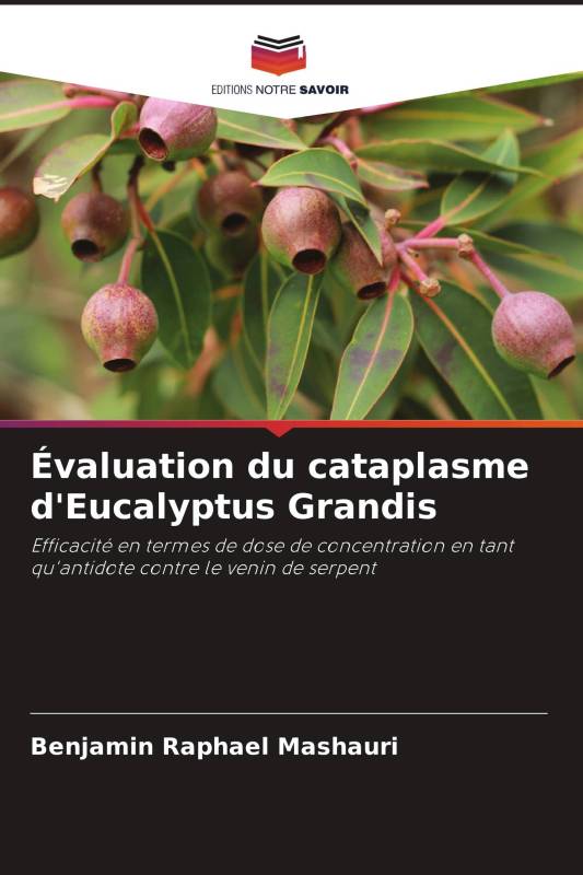 Évaluation du cataplasme d'Eucalyptus Grandis