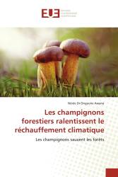 Les champignons forestiers ralentissent le réchauffement climatique