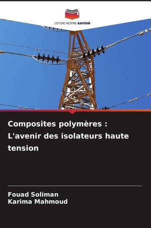 Composites polymères : L'avenir des isolateurs haute tension