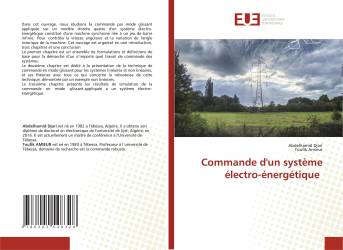 Commande d'un système électro-énergétique