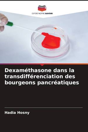 Dexaméthasone dans la transdifférenciation des bourgeons pancréatiques