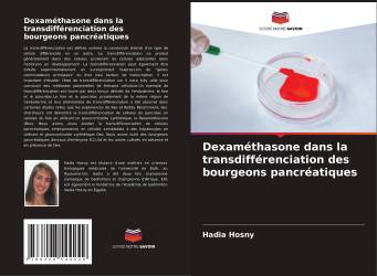 Dexaméthasone dans la transdifférenciation des bourgeons pancréatiques