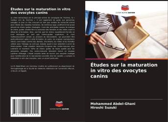 Études sur la maturation in vitro des ovocytes canins