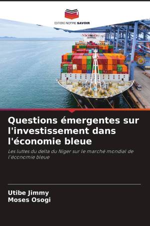 Questions émergentes sur l'investissement dans l'économie bleue