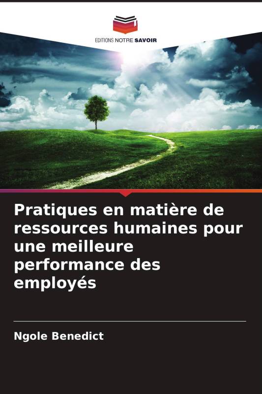 Pratiques en matière de ressources humaines pour une meilleure performance des employés