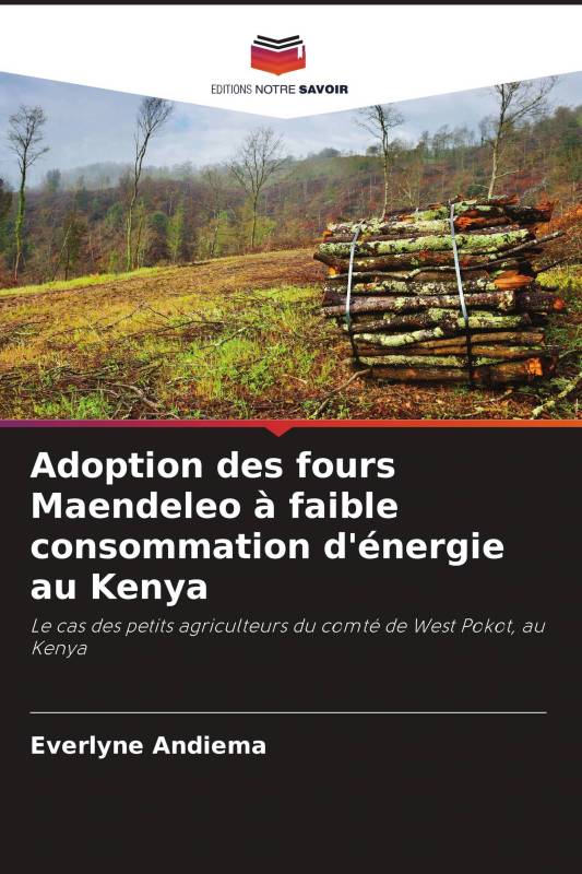 Adoption des fours Maendeleo à faible consommation d'énergie au Kenya Adoption des fours Maendeleo à faible consommation d'énergie au Kenya