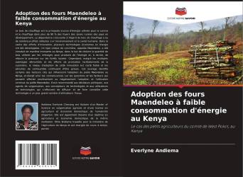 Adoption des fours Maendeleo à faible consommation d'énergie au Kenya