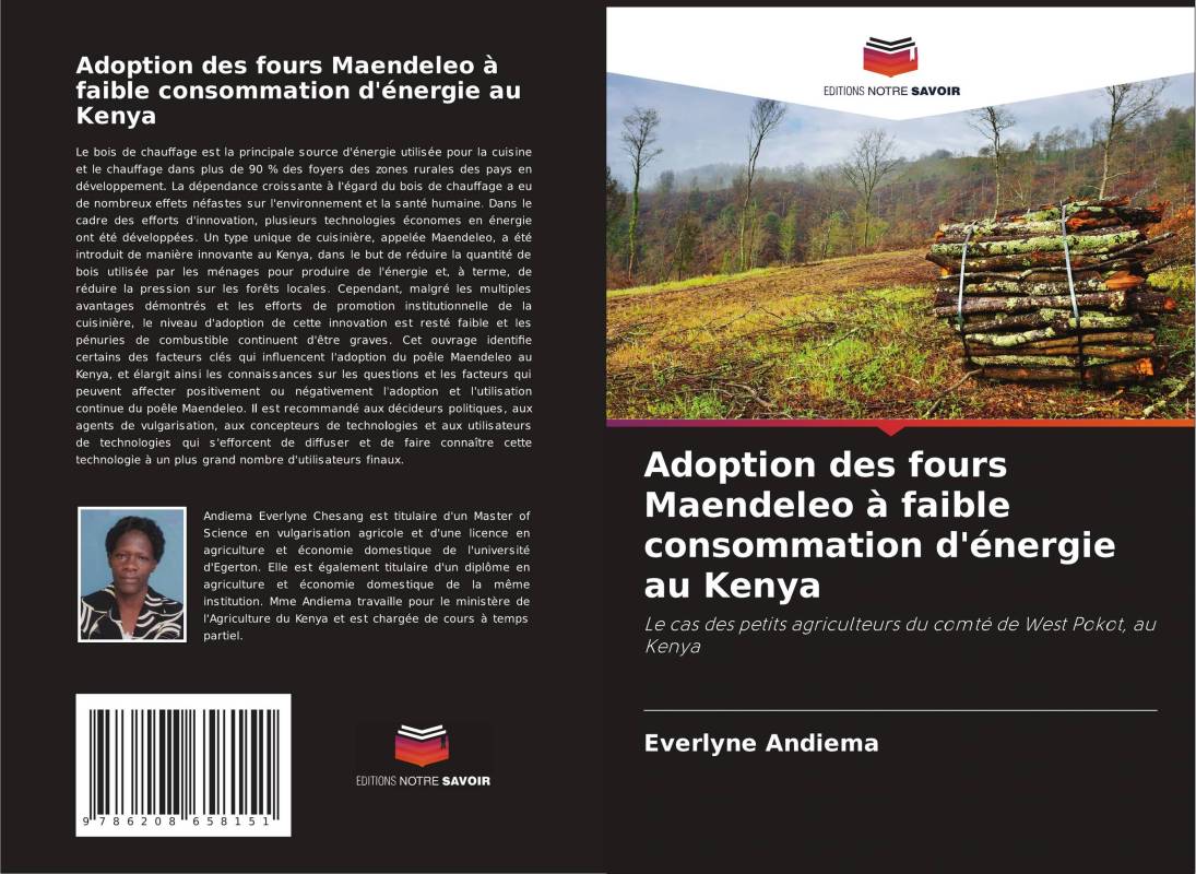 Adoption des fours Maendeleo à faible consommation d'énergie au Kenya