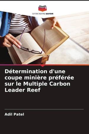 Détermination d'une coupe minière préférée sur le Multiple Carbon Leader Reef