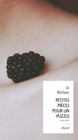 Petites pièces pour un puzzle de Ali Bécheur