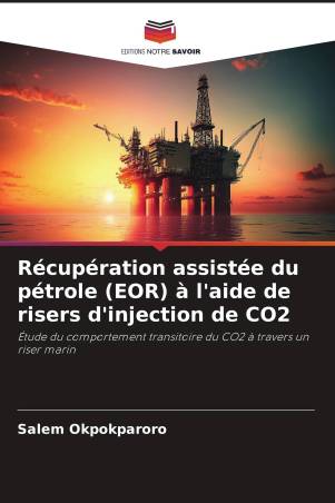 Récupération assistée du pétrole (EOR) à l'aide de risers d'injection de CO2