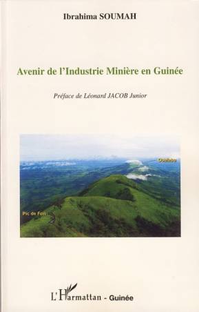 Avenir de l&#039;Industrie Minière en Guinée