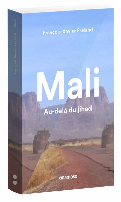 Mali - Au-delà du jihad de François-Xavier Freland