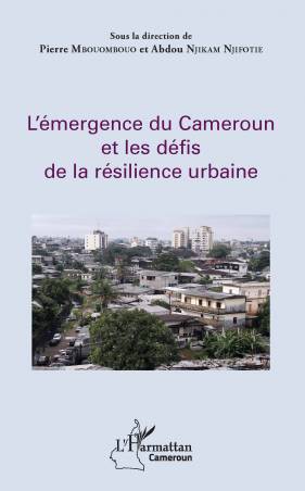 L'émergence du Cameroun et les défis de la résilience urbaine