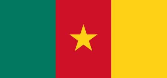Le Cameroun s'invite chez vous : décoration camerounaise...